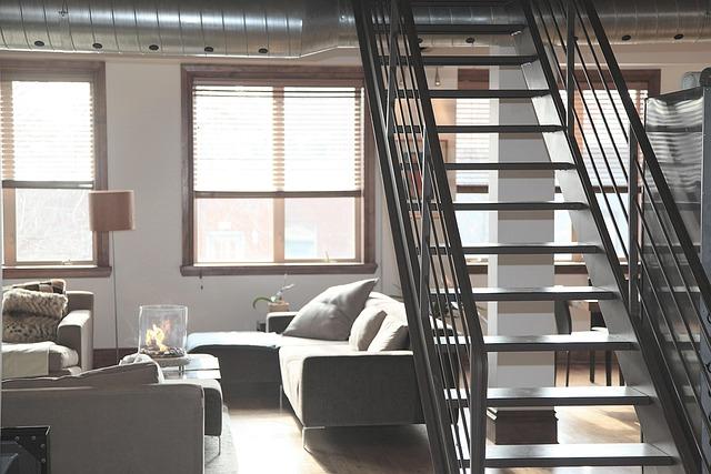 Finding Pet-Friendly Accommodations Made Easy