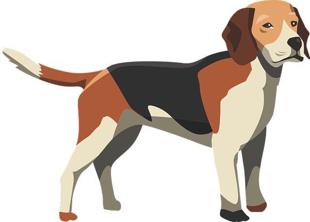 Top Picks ‍for ⁢Happy Hounds: Airlines ​That Go the ⁢Extra Mile