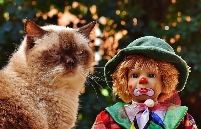 Sassy Cat Toys That Double as Home Accessories