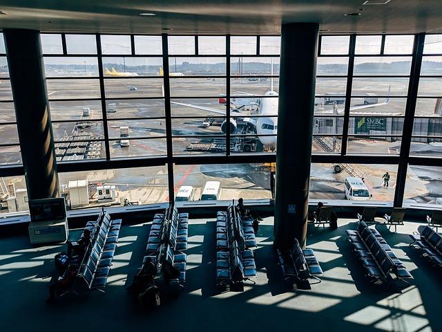 Paw-some ‌Perks: ⁤What to Look for in ⁢a Dog-Friendly Airline