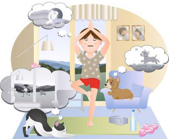 Mastering Home Dog Training: Tips for Happy Pups!
