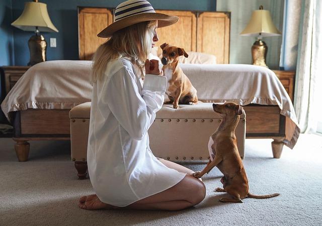 Tackling Common Challenges:‍ Tips for ​the Picky Pup