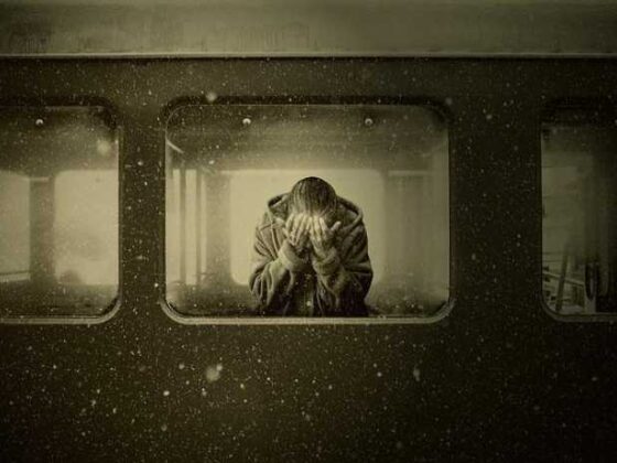 Train Your Pup at Home: Fun Tips for Happy Dogs!